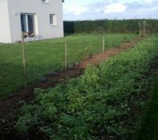 Voici le jardin avec future potager