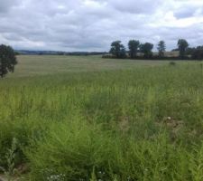 Le terrain attend le tracto...