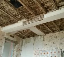 1er week-end de travaux : Démolition plafond plâtre