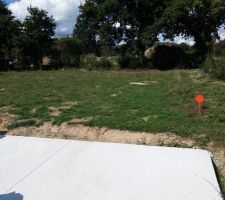 Une photo du terrain sur lequel nous sommes en attente de signature. Les arbres et la haie sont dans la parcelle qui est derrière mais sont à conserver.