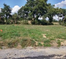 Une photo du terrain sur lequel nous sommes en attente de signature. Les arbres et la haie sont dans la parcelle qui est derri&egrave;re mais sont &agrave; conserver. (avec un autre angle)