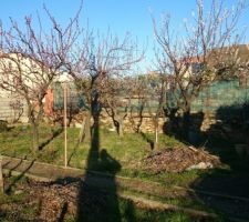 Terrain avant d&eacute;blayage/ terassement