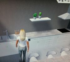 Cuisine