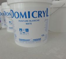 Peinture Professionnelle