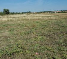 Terrain après débroussaillage !!