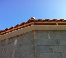 DEBORD DE TOIT 20 CM