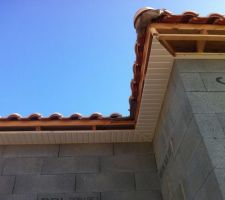 DEBORD DE TOIT 20 CM