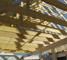 Le soleil filtré par la charpente ...