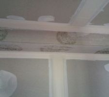 Début de la moisissure sur les plafonds
