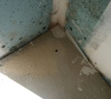 Moisissure sur les plaques de platre suite &agrave; un apport d'eau