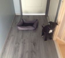 Plinthes couloir/ barres de seuil