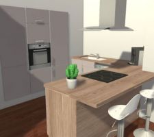 Le projet de cuisine