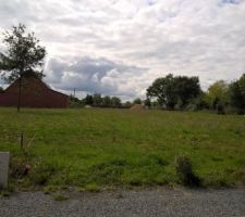 Le terrain