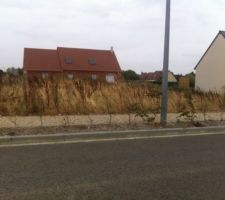 Petite visite avant le d&eacute;part en vacances! Qu'est ce que &ccedil;a a pouss&eacute;, vivement le d&eacute;but des travaux, une vraie friche ! pauvres voisins