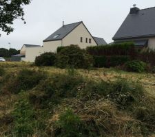 On s'attaque au sapin.