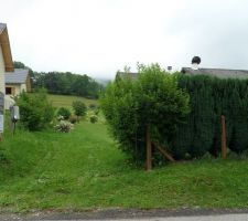 Photo de la zone d acces a la parcelle (futur chemin)