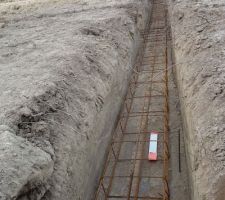 La terre est saine et sèche à tout endroit