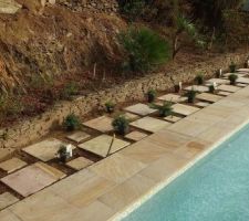 Coin piscine min&eacute;ral et v&eacute;g&eacute;tal.