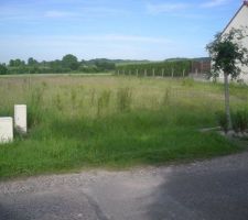 Vue du terrain en fa&ccedil;ade
Surface 947 m2,viabilis&eacute; et born&eacute; bien sur!