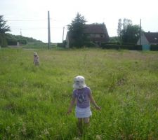 Terrain vu du fond,&ccedil;a pousse!!!