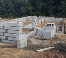 Arase vide sanitaire