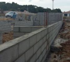 Arase vide sanitaire