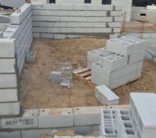 Arase vide sanitaire