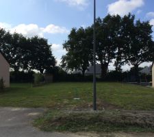 Terrain lors de l'implantation