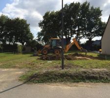 Premier coup de pelle