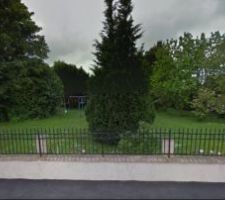 Notre terrain... Beaucoup d'arbres!