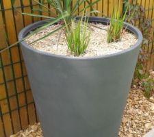 Côté jardin : grand pot contenant Yucca et Imperata red baron