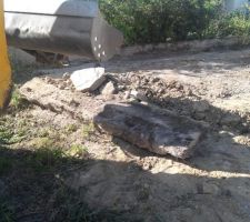 Voilà ce qui a été trouvé lorsqu'on a fait rentrer la terre....