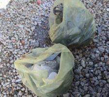 19/09/15 : nettoyage terrain et drainage du VS