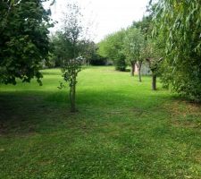 Le terrain avant le debut des travaux de pr&eacute;paration.