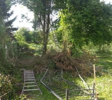 Pr&eacute;paration du terrain, quelques gros arbres &agrave; abattre