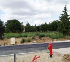 Dans le lotissement voil&agrave; notre terrain de face, il d&eacute;marre de la gauche du petit arbre (sur photo a gauche) jusqu'a la limite du sapin.