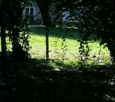 Les voisins ont clôturé le fond du jardin
