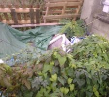 Acc&egrave;s maison &agrave; cot&eacute; des jardins familiaux, ici mon voisin en a fait un petit d&eacute;potoir. Il me revient de refaire la cl&ocirc;ture mais je crains qu'avec ce genre de voisin la cl&ocirc;ture ne tiendra pas longtemps.