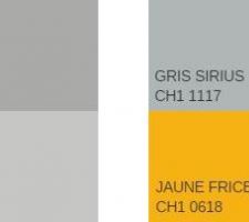 Choix peinture Pièce de Vie