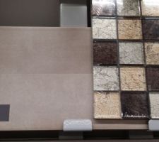 Idée pour la douche de la salle d'eau du RDC (carrelage taupe et frise verticale avec les carreaux de mosaïques)
