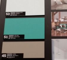 Idée du rendu de la peinture mer du sud de Renolac à côté du blanc pour la cuisine (murs couleur mer du sud, façades blanches, panneaux de finition et plan de travail en chêne)