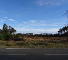 L'emplacement du futur lotissement vu depuis la route