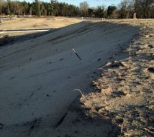 Fond du terrain apr&egrave;s viabilisation du lotissement et bornage du terrain
