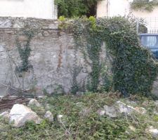 Gros nettoyage du terrain