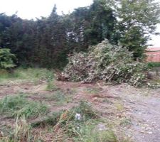 Terrain en cours de nettoyage