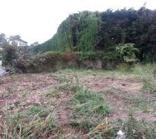 Terrain en cours de nettoyage