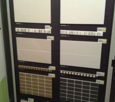 2 SDE RDC sur 2 couleurs