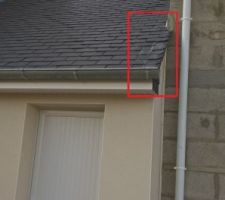 Malgré les pluies de ces derniers temps nos ardoises sont tachées par le ciment...