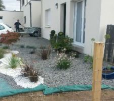 Suite de l'aménagement du jardin en facade...