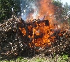 Un beau feu !